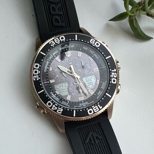 Citizen Promaster Eco-Drive Watch